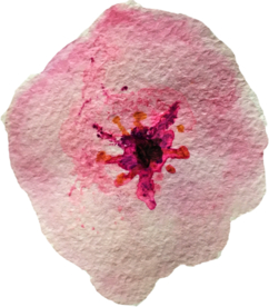 手绘水彩花卉花型花瓣