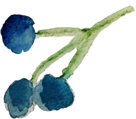 手绘水彩花卉花型花瓣