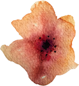 手绘水彩花卉花型花瓣