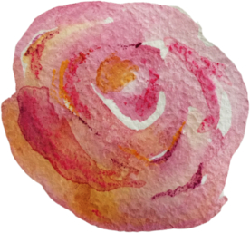 手绘水彩花卉花型花瓣