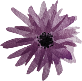 手绘水彩花卉花型花瓣