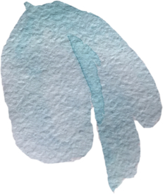 手绘水彩花卉花型花瓣