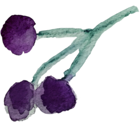 手绘水彩花卉花型花瓣