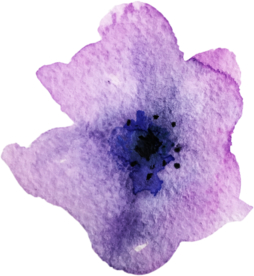 手绘水彩花卉花型花瓣