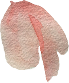 手绘水彩花卉花型花瓣