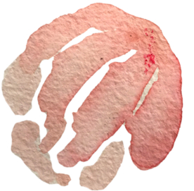 手绘水彩花卉花型花瓣