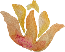 手绘水彩花卉花型花瓣