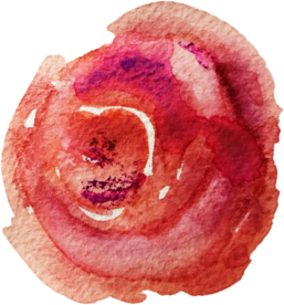 手绘水彩花卉花型花瓣