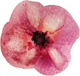 手绘水彩花卉花型花瓣