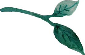 手绘水彩花卉花型花瓣