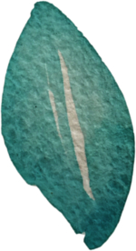 手绘水彩花卉花型花瓣