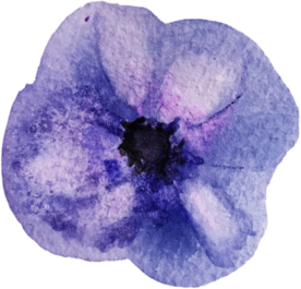 手绘水彩花卉花型花瓣