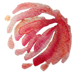 手绘水彩花卉花型花瓣