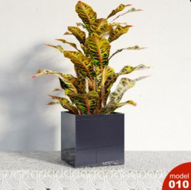 3DMAX模型植物花卉景观