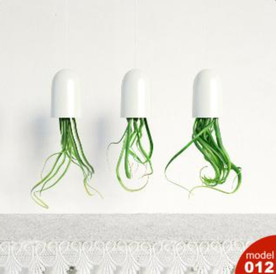 3DMAX模型植物花卉景观