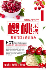 樱桃海报