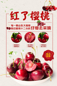 樱桃海报