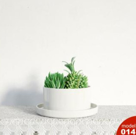 3DMAX模型植物花卉景观