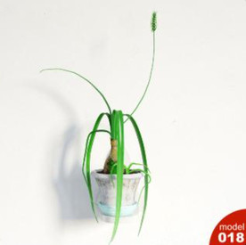 3DMAX模型植物花卉景观