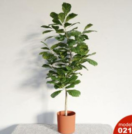 3DMAX模型植物花卉景观