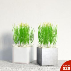 3DMAX模型植物花卉景观