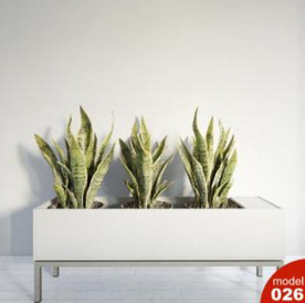 3DMAX模型植物花卉景观