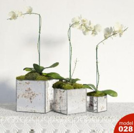 3DMAX模型植物花卉景观