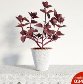 3DMAX模型植物花卉景观