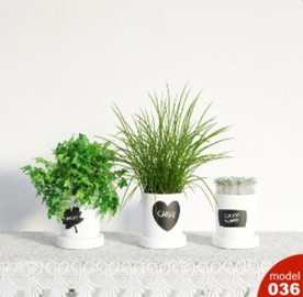 3DMAX模型植物花卉景观