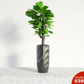 3DMAX模型植物花卉景观