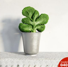 3DMAX模型植物花卉景观