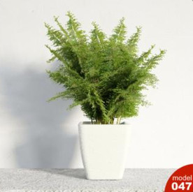 3DMAX模型植物花卉景观