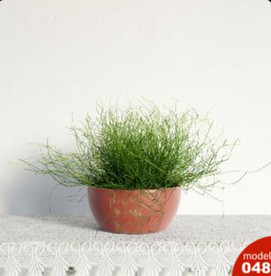 3DMAX模型植物花卉景观