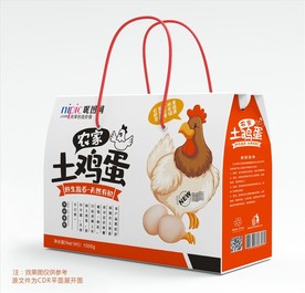 鸡蛋包装