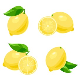 橙子