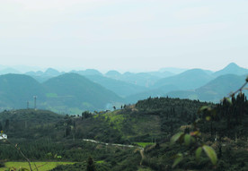 山