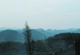 山