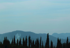 山