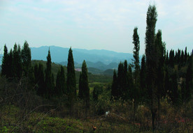 山