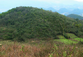 山