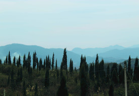 山   山川   树林   树