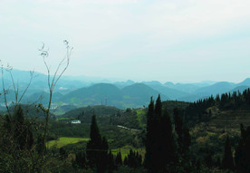 山
