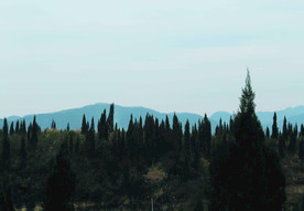 山