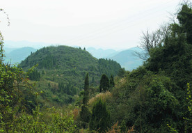 山