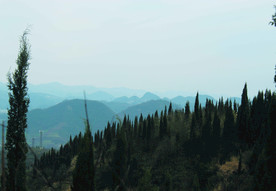 山