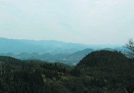 山