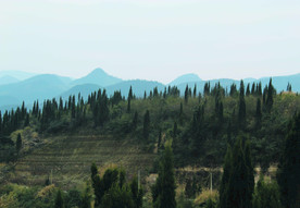 山