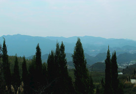 山