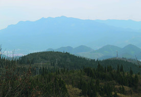 山