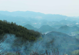 山